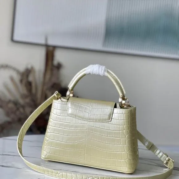 women handbagCapucines N93163 27x18x9cm gf
